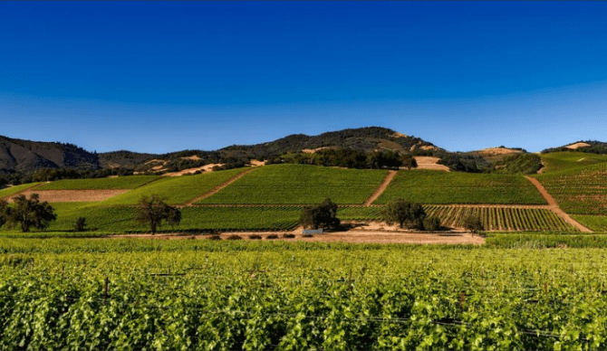 Napa, California for CME, CLE, and CE