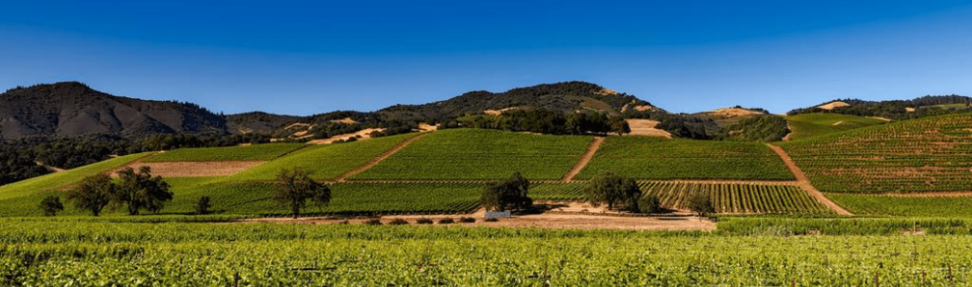 Napa, California for CME, CLE, and CE