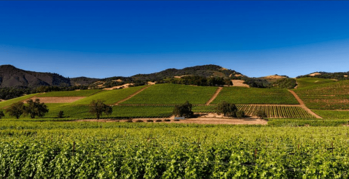 Napa, California for CME, CLE, and CE